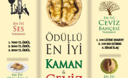 Kaman Ceviz, Kültür ve Sanat Festivali’nde Yarışmalar Başlıyor! Hazır mısın KAMAN?