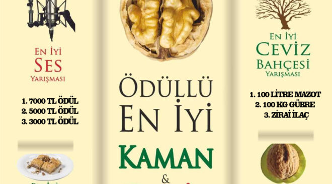 Kaman Ceviz, Kültür ve Sanat Festivali’nde Yarışmalar Başlıyor! Hazır mısın KAMAN?